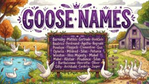 Goose Names